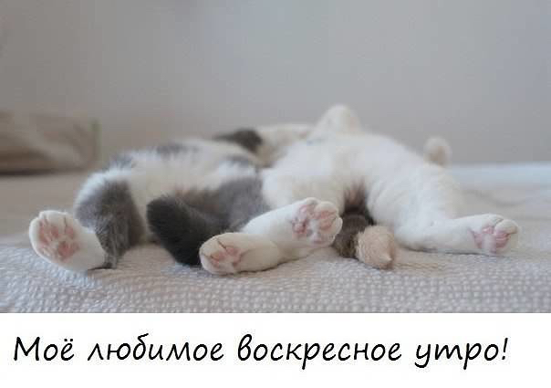 image (604x425, 76Kb)
