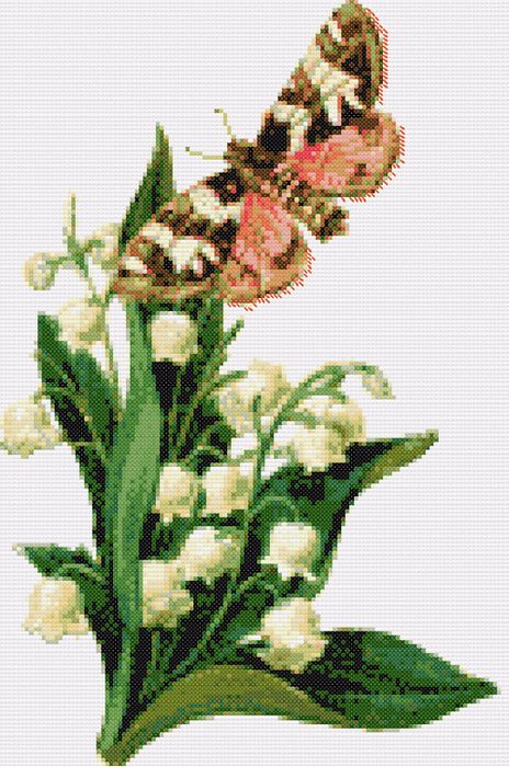 бабочка (464x700, 406Kb)