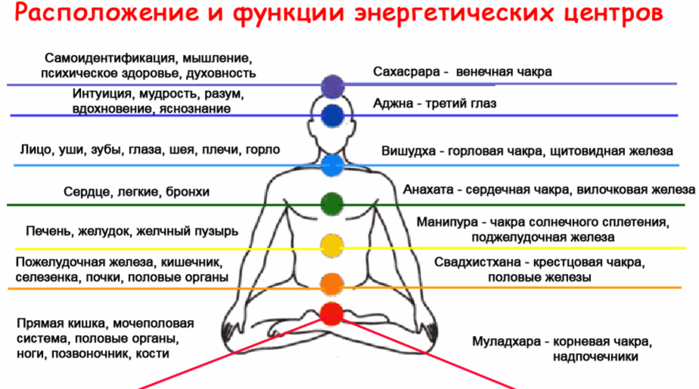 1868538_chakras (700x389, 186Kb)