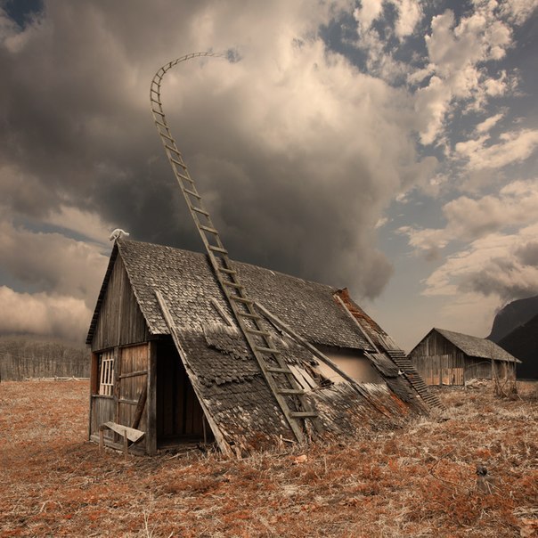 image (604x604, 93Kb)