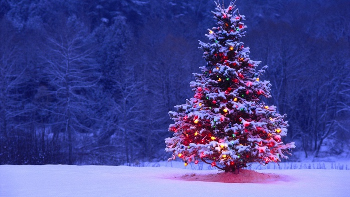 3303834_christmas_tree_15 (700x393, 117Kb)