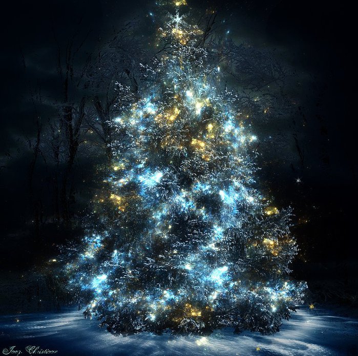 3303834_christmas_tree_12 (700x695, 133Kb)