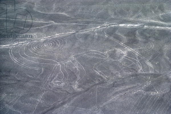 2097049_Nazca_lines_in_the_form_of_a_monkey_photo__Nazca_Ica_Peru (600x398, 46Kb)