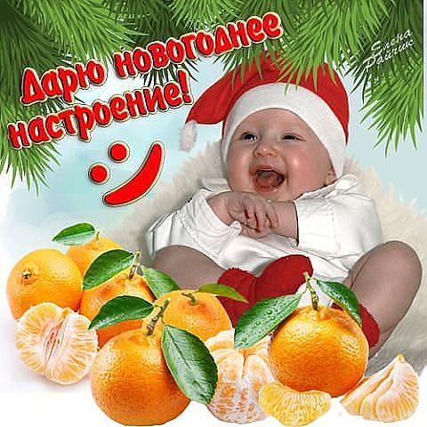 3421230_7d1hysjCGvI (480x480, 57Kb)