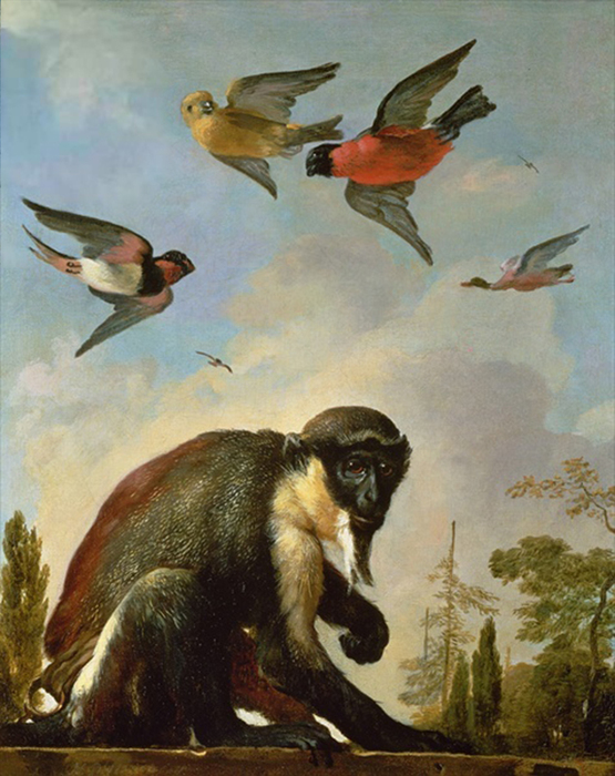 2097049_Hondecoeter_Melchior_de_163695__Chained_monkey_in_a_landscape__oil_on_canvas__Private_Collection (555x700, 315Kb)//2097049_Hondecoeter_Melchior_de_163695__Chained_monkey_in_a_landscape__oil_on_canvas__Private_Collection (555x700, 315Kb)