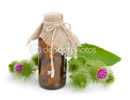 depositphotos_50002011-Burdock-isolated-on-white-background (448x344, 108Kb)