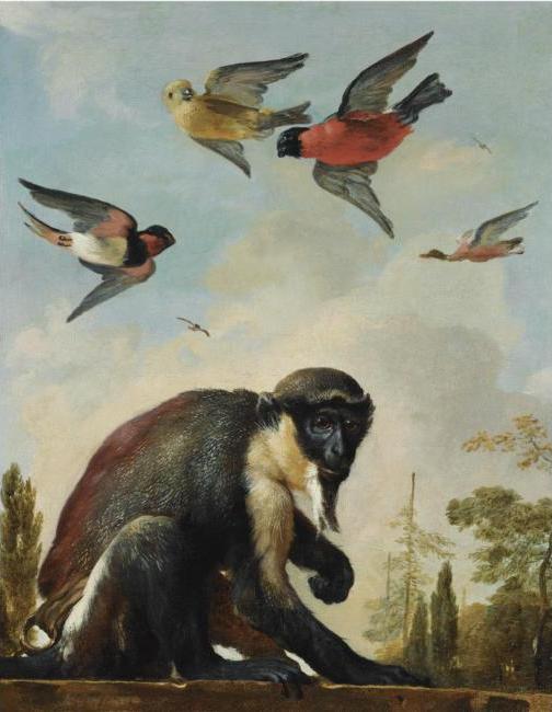 4000579_Diana_monkey_on_a_chain_in_a_landscape_with_four_colourful_birds_in_the_sky (504x650, 42Kb)