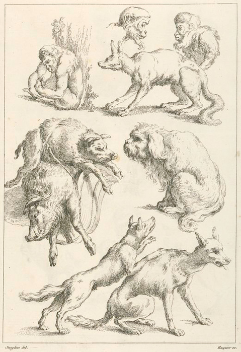 4000579_Monkeys_dogs_and_boars (479x700, 192Kb)