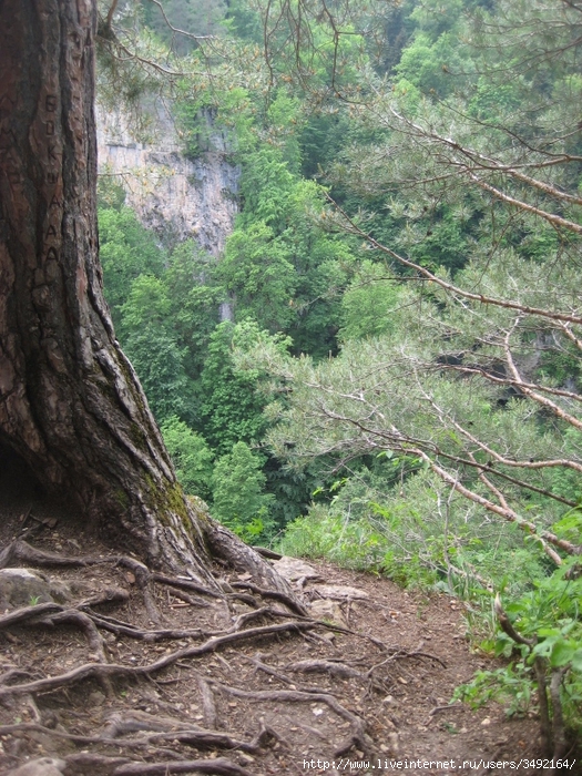 IMG_0589 (525x700, 419Kb)