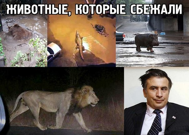 SewwQ3qibns (604x431, 226Kb)
