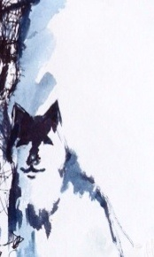 image (174x290, 39Kb)