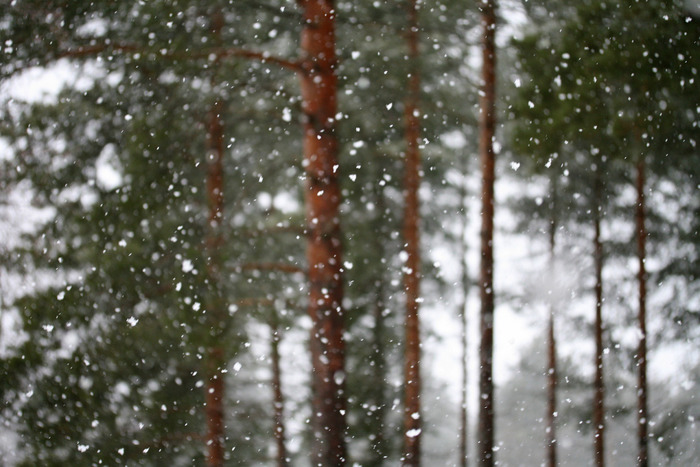 3734746_tumblr_nva773ij1X1smw5hpo1_1280 (700x467, 120Kb)