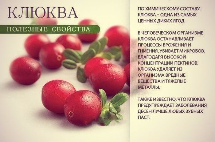 КЛЮКВА (700x461, 257Kb)