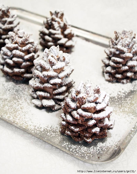 1-chocolate-pinecone-recipe-2 (551x700, 272Kb)