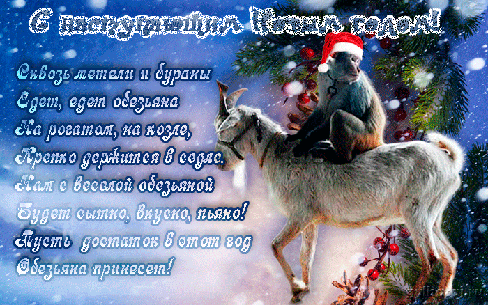3421230_snastupayushhimnovymgodomanimacionnyeotkrytki_ (700x438, 2532Kb)