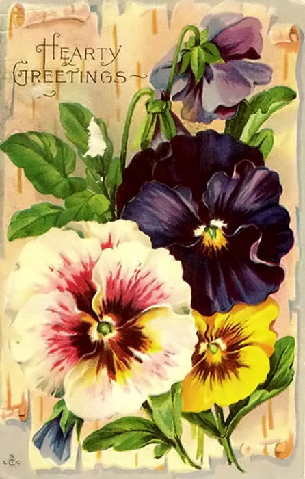 0-1b (446x700, 102Kb)