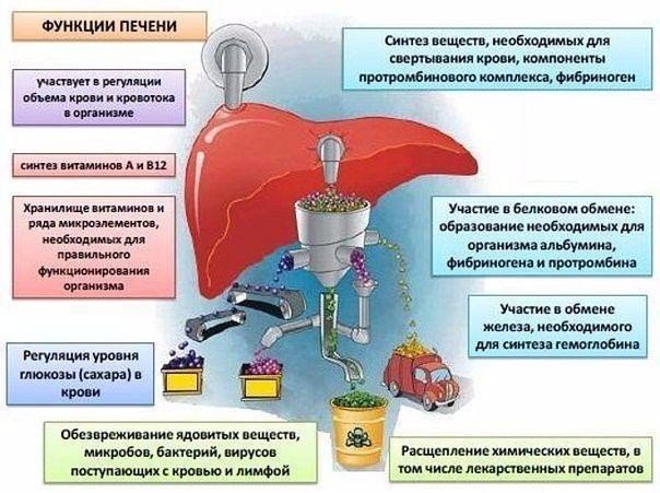 DD5ABgISTN8 (604x451, 75Kb)