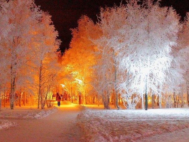 5361707_Zimnii_yut_gorodskih_fonarei8 (604x453, 90Kb)