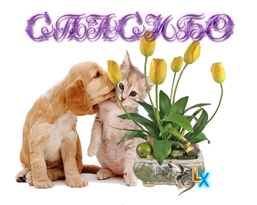 Открытки спасибо тебе солнце