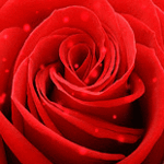 image_10401142109522025999 (150x150, 102Kb)