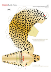  cheetah_e_a4_003 (494x700, 283Kb)