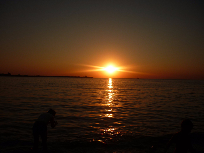 P1090496 (700x525, 304Kb)