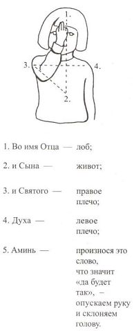 3443454_image (194x480, 16Kb)