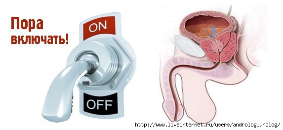 kak-vylechit-impotenciya   