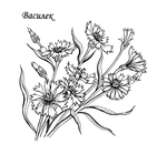  coloring-pages-flowers-zezag-08 (700x650, 159Kb)