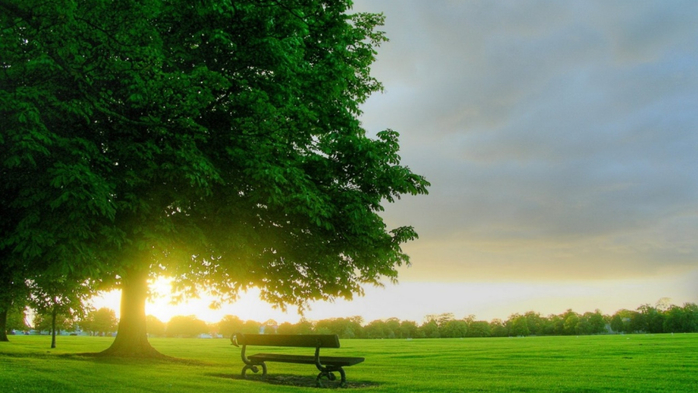 Romantic-moments-on-a-bench-in-the-morning_5120x2880 (700x393, 305Kb)