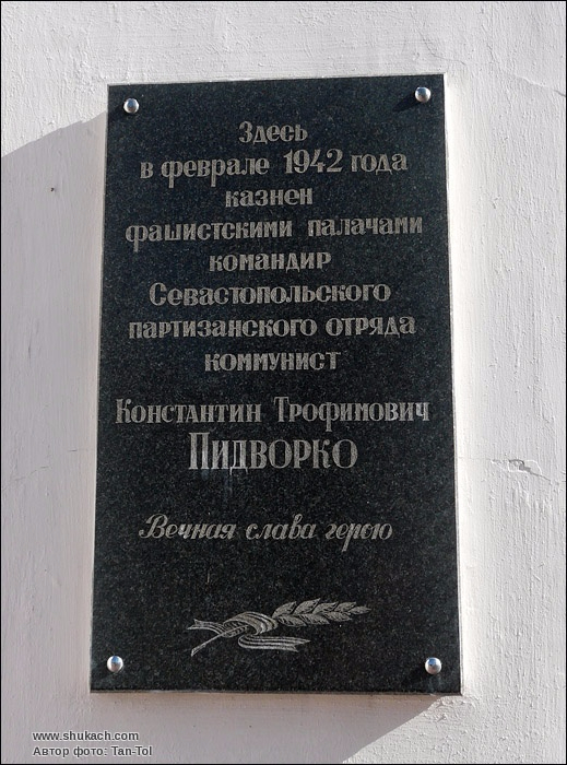 127634482_S_RRRSSRRyoRR_SSRRyoRS1.jpg
