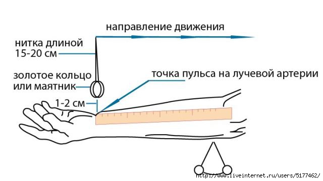 5177462_1444655275_d09ad0b0d0bad0b8d0b7d0bcd0b5d180d0b8d182d18cd0b4d0b0d0b2d0bbd0b5d0bdd0b8d0b5d0b1d0b5d0b7d182d0bed0bdd0bed0bcd0b5d182d180d0b0 (640x359, 65Kb)
