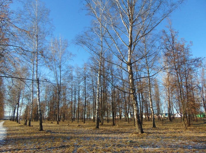 DSC02674 (700x517, 390Kb)