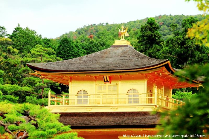 Kinkaku-ji, Temple of the Golden Pavilion, Kyoto, Japan (700x466, 305Kb)