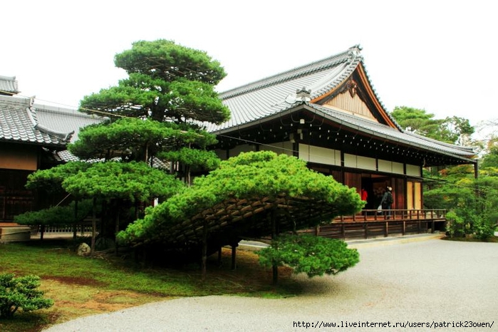 Sekka-tei tea house, Kinkaku-ji, Rokuon-ji Temple, Kyoto, Japan (700x466, 248Kb)
