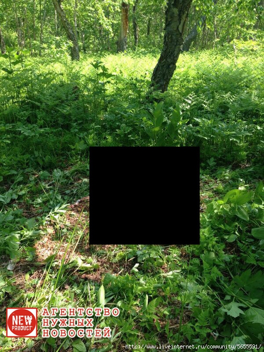 4611276_1 (525x700, 390Kb)