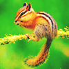 2245788_chipmunk4 (100x100, 37Kb)