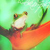 2245788_frog_17 (100x100, 34Kb)