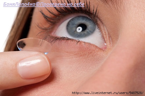Contacts (500x333, 86Kb)