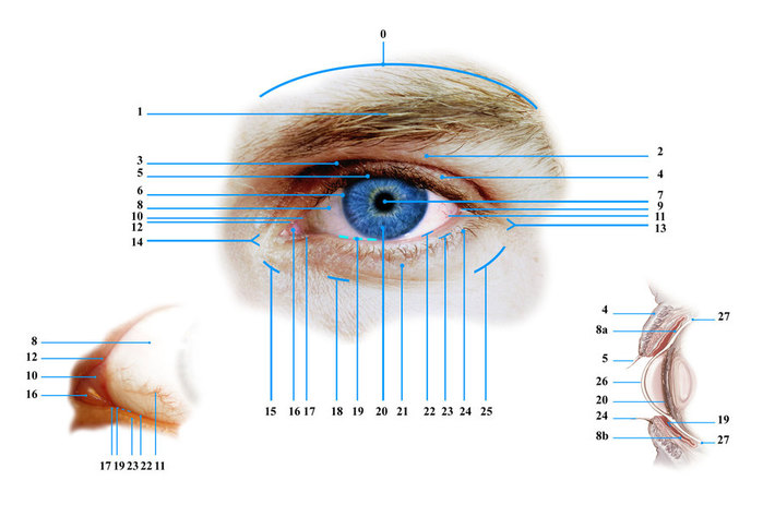 eye (700x463, 60Kb) photo by Pogrebnoj-Alexandroff