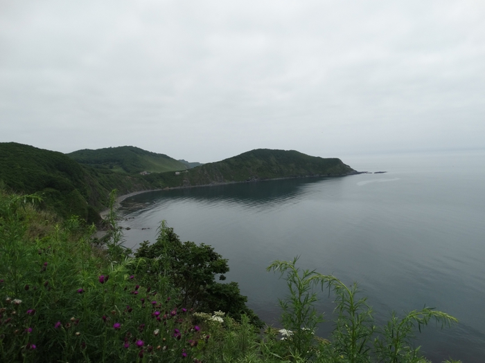 5559494_DSC00630 (700x525, 186Kb)