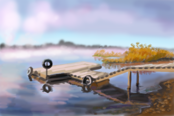 4150718_seliger (700x466, 1453Kb)