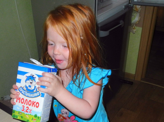 4757949_DSCN2080 (700x520, 276Kb)