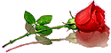 ------ 1[1]1 (125x60, 2Kb)