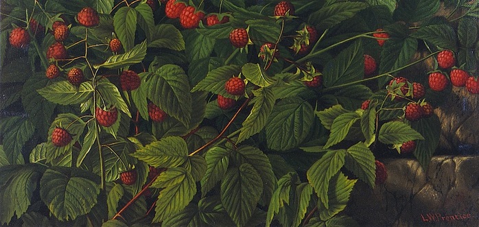 3623822_Levi_Wells_Prentice_8 (700x331, 109Kb)