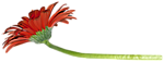 0_8aae1_8aeb84f4_S (150x57, 9Kb)