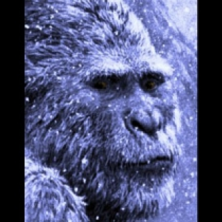  :     ,   !/5402287_173_0 (320x320, 171Kb)