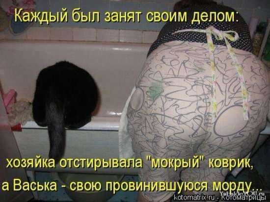  :     ,   !/5402287_1297086573_kotomatrits21 (550x412, 45Kb)