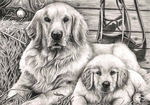  _dog_and_puppy__graphite_drawing_by_pen_tacular_artist-d622mgs (700x491, 331Kb)