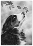  autumn_puppy_by_zindy-d512a45 (499x700, 218Kb)